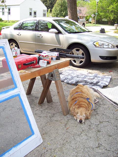 Bail Lee showing her deep concern over the crisis of the moment.